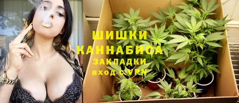 Шишки марихуана White Widow  Ахтубинск 